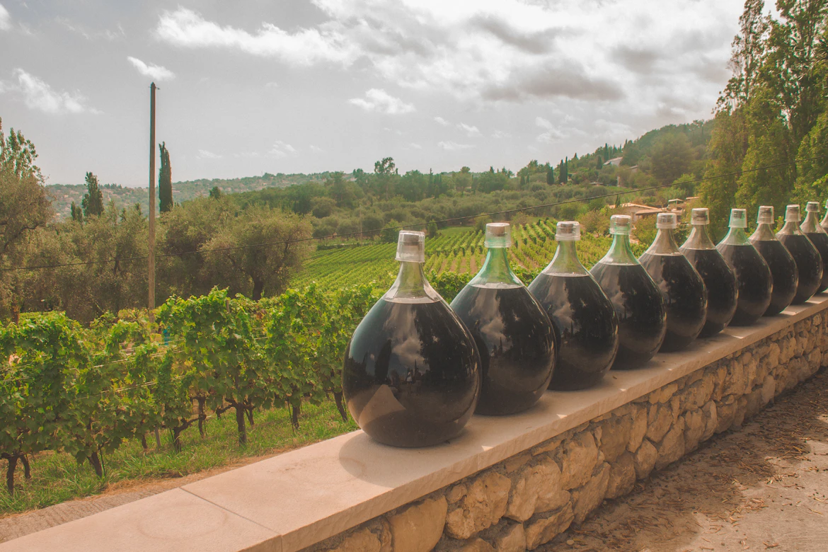 Dames-jeannes de vin alignées devant des vignes